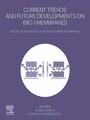 Current Trends and Future Developments on (Bio-) Membranes - Recent Achievements for Ion-Exchange Membranes