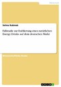Fallstudie zur Etablierung eines natürlichen Energy-Drinks auf dem deutschen Markt