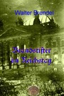 Brandstifter im Reichstag - Der Reichstagbrand und seine Folgen